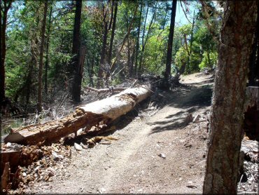 Example of terrain at John's Peak OHV Area Trail