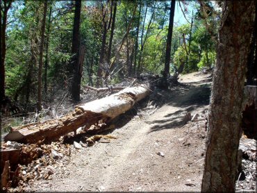 Terrain example at John's Peak OHV Area Trail