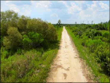 Mallory Swamp ATV Trail