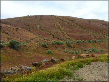 Weiser Sand Dunes Dune Area