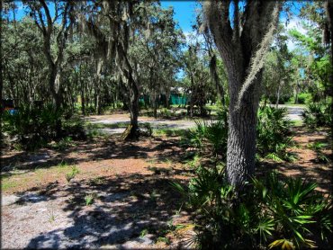 Hog Waller Mud Bog and ATV Park Trail