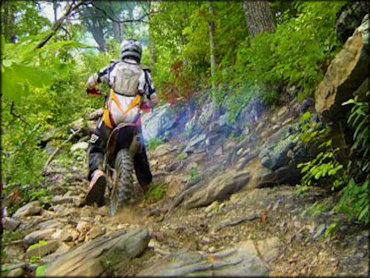 A dirt bike rider wearing Shift motorcycle pants climbing rocky trail.
