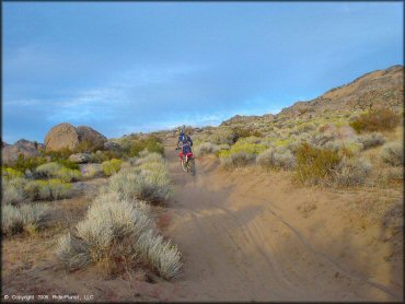 Honda CRF Motorcycle at Fort Sage OHV Area Trail