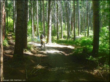 OHV at Upper Nestucca Motorcycle Trail System