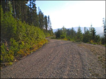 Blacktail Wild Bill OHV Trail System