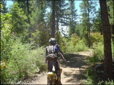 OHV at Low Pass Trail