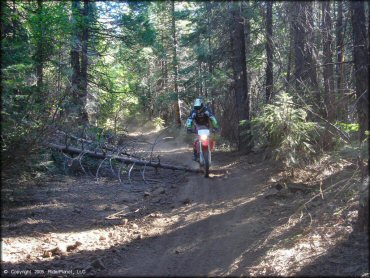 Honda CRF Motorbike at Interface Recreation Trails