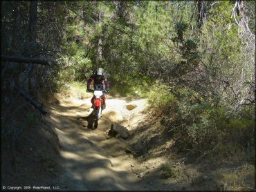 Honda CRF Dirt Bike at Miami Creek OHV Area Trail