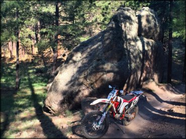 Fort Valley Trail System