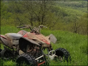 A Honda ATV Sitting in a Tall Grassy Meadow