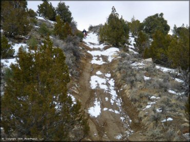 Honda CRF Motorcycle at Old Sheep Ranch Trail