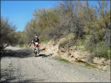 Man on Honda CRF250X popping a wheelie.