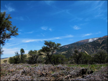 A scenic view of various trees and partially snow capped mountains taken from 4x4 trail.