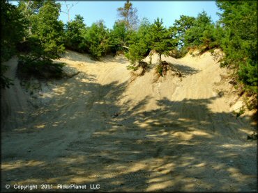 Some terrain at Freetown-Fall River State Forest Trail