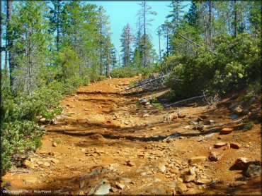 Some terrain at Rattlesnake Ridge Area Trail