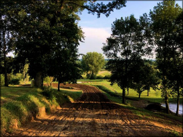 Muddy Waters MX Track