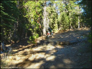 Honda CRF Motorcycle at Black Springs OHV Network Trail