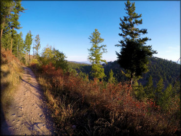 Blue Mountain Recreation Area Trail