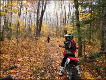 OHV at Nemadji State Forest Trail