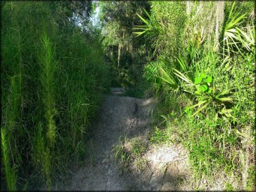 Peace River Campground Trail