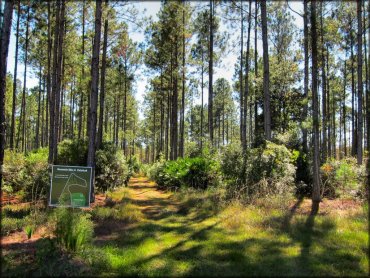 Florida Cracker Ranch Trail