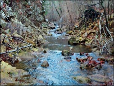 Fourche Mountain Trail