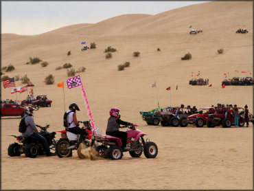 Glamis Sand Dunes Dune Area