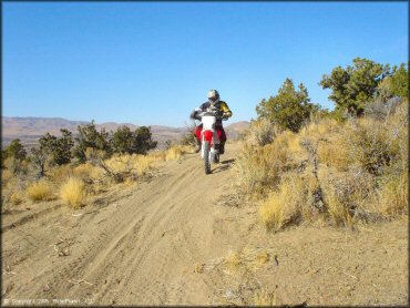 OHV at Stead MX OHV Area