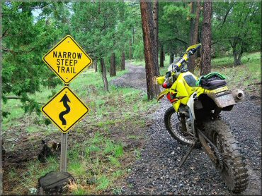 Saffel Canyon OHV Trail