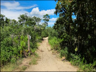 Photo of one way sandy ATV trail with stop sign.