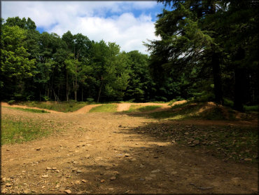 Haneyville ATV Trails