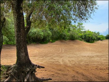 Croom Motorcycle Area Trail