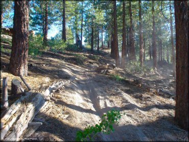 Terrain example at Mammoth Lakes Trail