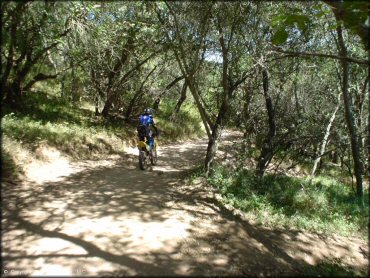 OHV at Hollister Hills SVRA OHV Area