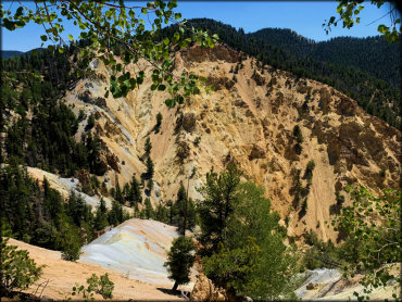 Elephant Rock Trails