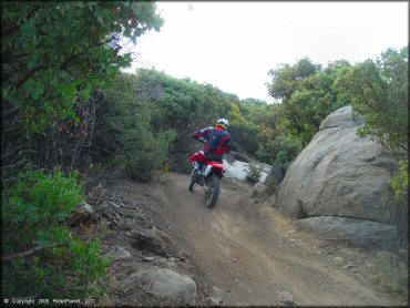 Rider on Honda CRF250X navigating section of smooth ATV trail surrounded by bushes and a large rock boulder.
