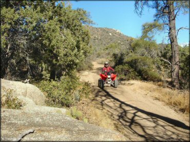 OHV at Alto Pit OHV Area Trail