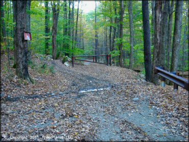 Pittsfield State Forest Trails