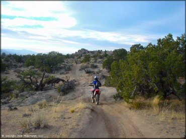 Honda CRF Motorcycle at Fort Sage OHV Area Trail