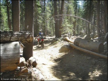 Honda CRF Dirt Bike at Lower Blue Lake Trail