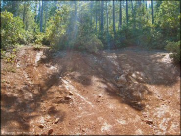 Terrain example at Rattlesnake Ridge Area Trail