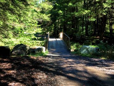 Marienville & Timberline OHV Trails