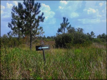 Mallory Swamp ATV Trail