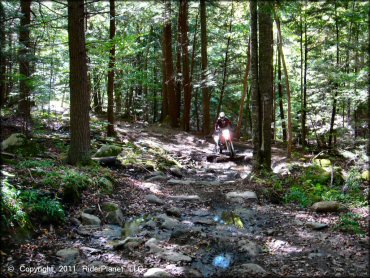 Honda CRF Motorcycle at Beartown State Forest Trail