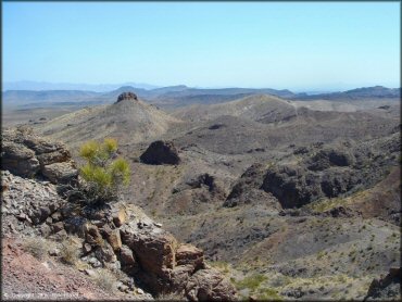 Scenery at Nelson Hills Trail