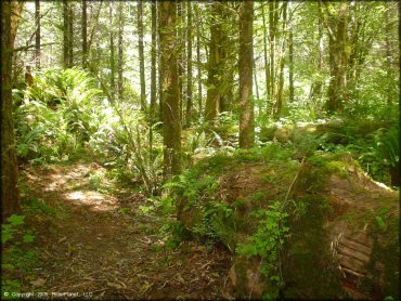 Example of terrain at Jordan Creek Trail