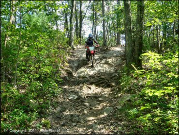 Honda CRF Motorcycle at Wrentham Trails