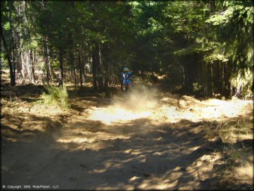 Honda CRF Motorbike at Gold Note Trails