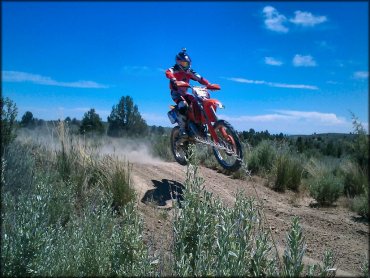Radar Hill OHV Area Trail
