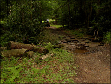 Haneyville ATV Trails